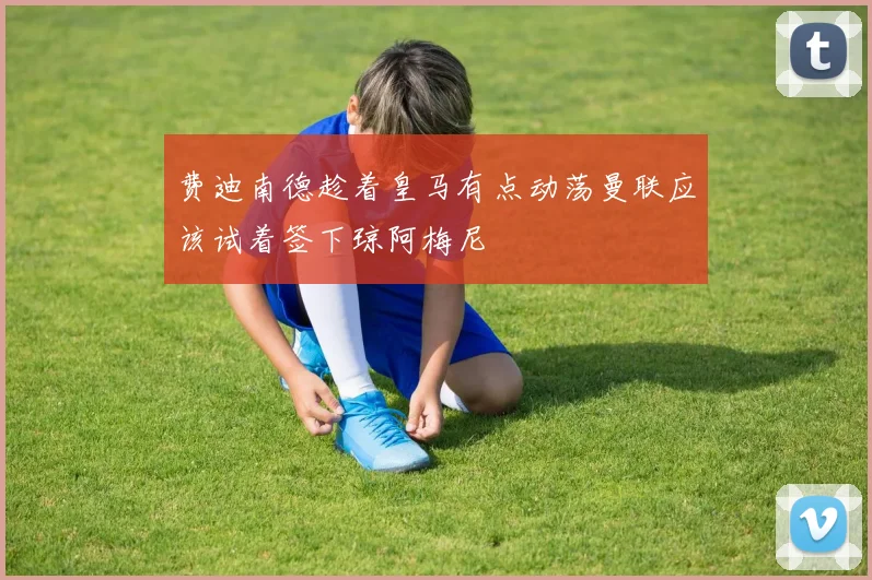 费迪南德趁着皇马有点动荡曼联应该试着签下琼阿梅尼