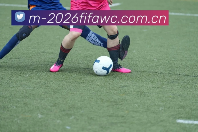 2026世界杯全球连接